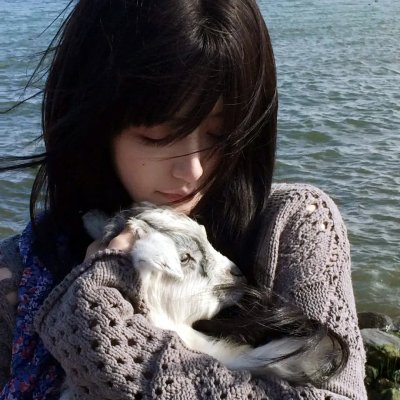 超级机器人大战OG·the inspector